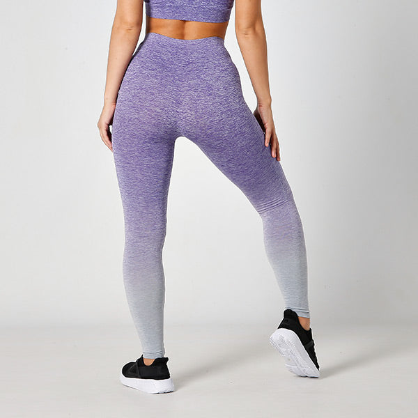 Seamless Purple Ombre Leggings – Just Strong
